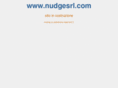 nudgesrl.com