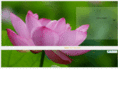 aroma-d.com