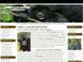 gorillasafariadventure.com