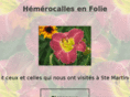 hemerocallesenfolie.com