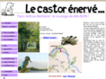 le-castor-enerve.fr