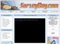 surveyboy.com