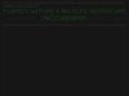 tnwaphotography.com