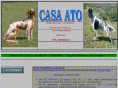 casa-ato.com