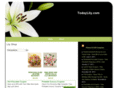 todaylily.com