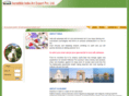 indianartexport.com