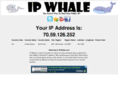 ipwhale.com