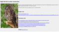 nightowlart.com