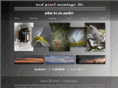 redpixelmontage.com