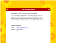 thesunshinegallery.com