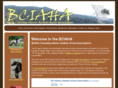 bciaha.com