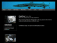 fluidpics.com