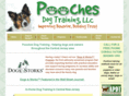 poochesdogtraining.com