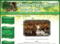 chestnuttearoom.com