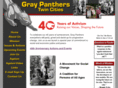 graypantherstwincities.org