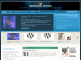 optimizationstrategies.com