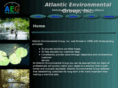 atlanticenvironmentalgroup.com