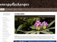 energyrecharger.com