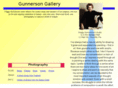 gunnerson.com