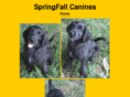 springfallcanines.com