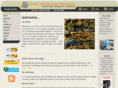 ehstinfosvc.com