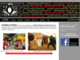 dmobilestudio.com