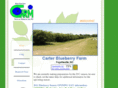 freshncblueberries.com