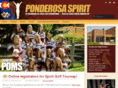 phsspirit.com