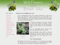 ukwildflowers.com