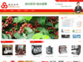 chipseng.com