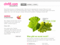 chr66.com