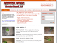 crystalcleanhawaii.com