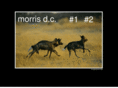 morris-dc.com