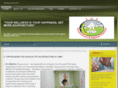 ampacupuncture.com