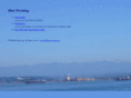 bluemorning.org