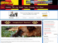 gsdfinder.com