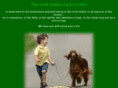 irishsetterclubofohio.com