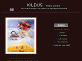 kildus.com