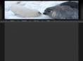 software-universe.com
