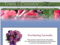 towncountryflorist.com