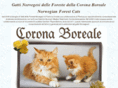 coronaboreale.com