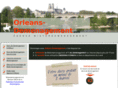 orleans-demenagement.com