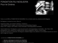 fondationruinogueira.com