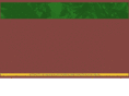 ksdriedmango.com