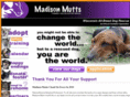 madisonmutts.org