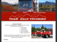 teamhaletrucking.com