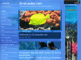 diveleader.com