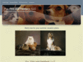 furfinsandfeathers.com