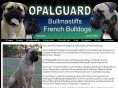 opalguard.com