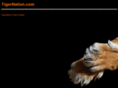 tigernation.com